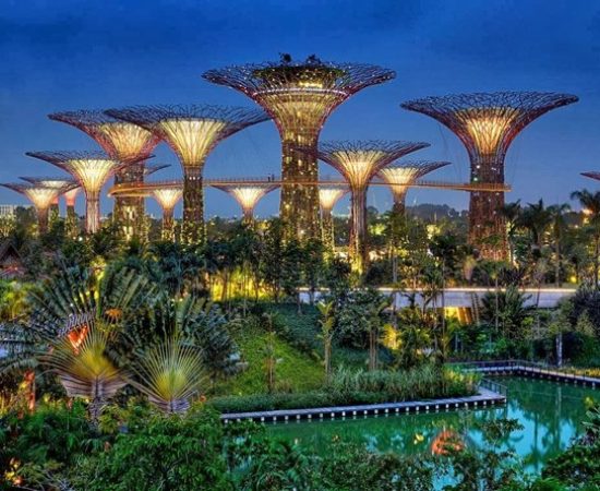 Gardens by the bay in singapore